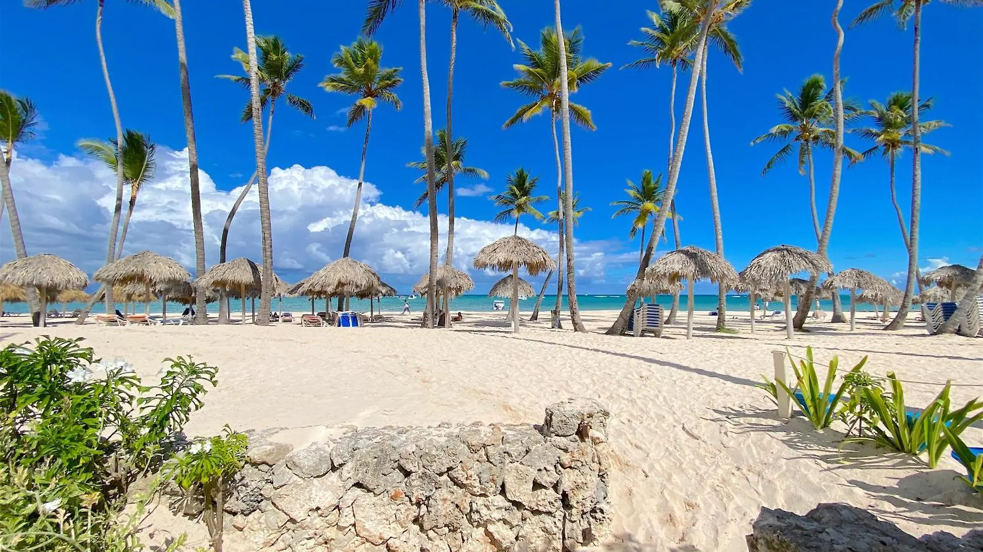 ***** Hotell Los Corales Villas And Suites - Beach Club, Spa, Restaurants Punta Cana Dominikanska republiken